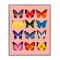 Stupell Industries Butterfly Species on Pink Framed Giclee, design by LISH Creative